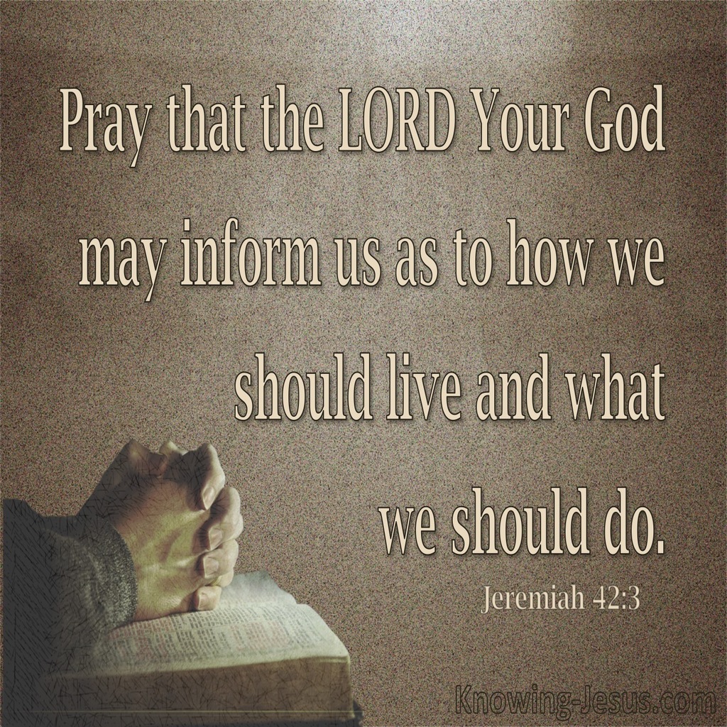Jeremiah 42:3 Pray That The Lord May Show Us The Way (brown)